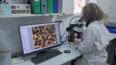 La investigaci�n ha tenido una parte de an�lisis en laboratorio.
