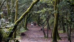 Orientarse en la naturaleza es una de las propuestas de la nueva actividad del Concello de Lugo