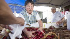 �B�scate en la Feira das Cereixas de Paiosaco!