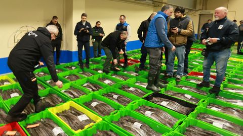 Compradores con los lotes de merluza de volanta por los que pujaron en la lonja de Celeiro el 5 de marzo del 2026.