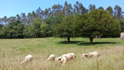 Granja Santa Ana