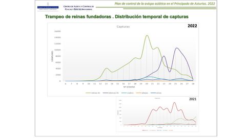 Exterminaci�n de nidos