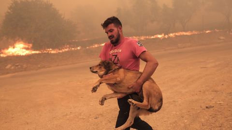 Un granjero se apresura a evacuar a su perro durante un incendio forestal en la zona de Fyli, cerca de Atenas