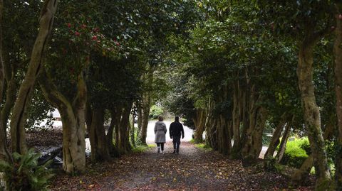 Pazo de Louriz�n, Pontevedra, al comienzo de la primavera