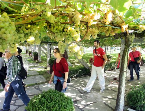 Entre las ofertas figuran rutas por los viedos de la Denominacin de Orixe Ras Baixas. 