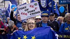 Ciudadanos contrarios al �brexit�, manifest�ndose el pasado mes de octubre en Londres