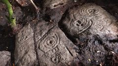 Petr�glifos en Vimianzo.