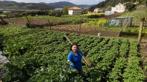 Asunci�n Garc�a tiene pr�cticamente de todo en la huerta que cultiva junto a su hogar en O Couto, en el concello de Ponteceso. En la imagen se la ve entre las patatas que sembr� en febrero, �as de cedo�, con semilla propia que le qued� del a�o pasado. Ahora ha de preparar la tierra para sembrar las de abril. 