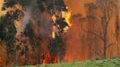 Incendio en las proximidades de Naves (Llanes)