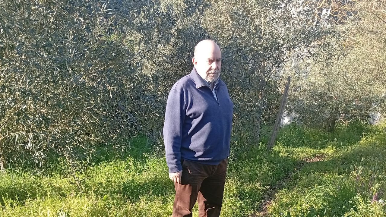 José Espinosa, biólogo: «Observar las yemas ayuda a mejorar la producción de aceite de oliva»