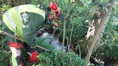 Los trabajos se centran en la retirada de �rboles y ramas ca�das para evitar atascos.