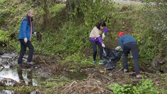 Limpieza en el Anll�ns en una edici�n anterior de la convocatoria 