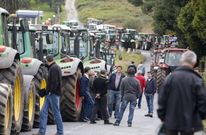 Los tractores cortan la entrada y la salida de la fbrica de Leche Celta en Campolongo. 