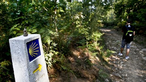 El Camino de Santiago pasa por los montes de Sai�ns.