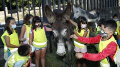 Participantes del campamento de verano de Rianxo disfrutaron con los animales de Fousas ao Monte