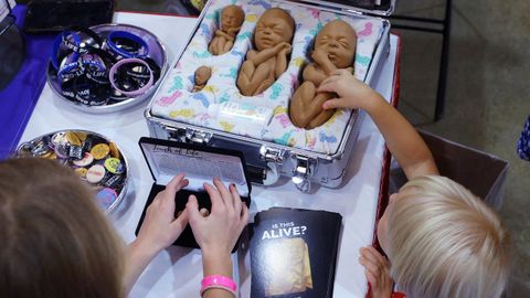 Los opositores al aborto de Texas utilizan modelos de fetos en las exposiciones que hacen para ni�os