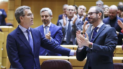 El l�der del PP, Alberto N��ez Feijoo, aplaudido por su grupo tras la intervenci�n en el Senado