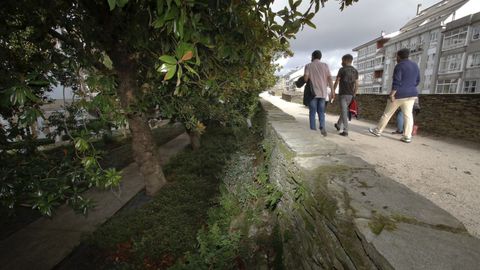 A la altura de la Diputaci�n las hierbas crece verde