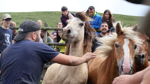 Momento de la rapa de Campo do Oso