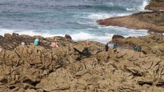 Guardias civiles con bateeiros que recolectaban mejila este viernes en la costa de Oia, en Pontevedra
