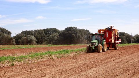 Tractor aplicando fertilizante en una foto de archivo