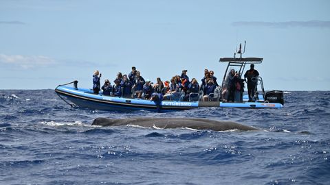 Dos bi�logos gallegos en Azores