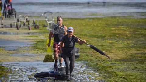 Mariscadores del sector de a pie regresando de trabajar este mi�rcoles en Os Praceres
