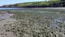 Playa de Ba�ugues, Goz�n