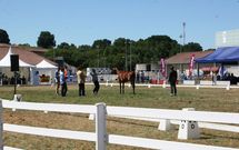 Ayer arrancaron en el recinto de la Semana Verde de Silleda las actividades de Equina 2015.