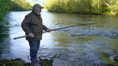 -Un pescador en el ro Narcea, este domingo en Puente Laneo, donde se ha capturado el Campanu 2024