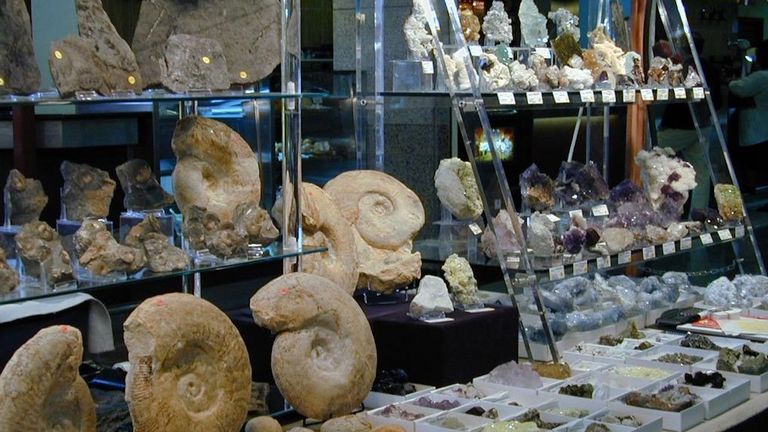 Minervigo es una de las ferias con m&aacute;s solera de la ciudad.