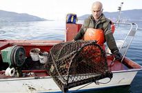 Pescador en la ensenada de San Sim�n con los aparejos para realizar las capturas.