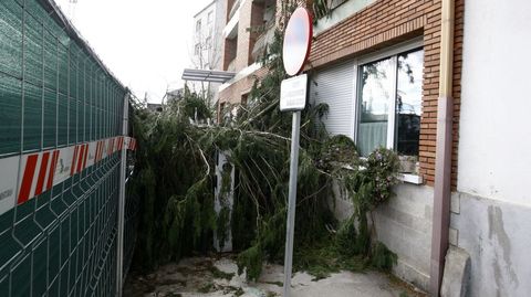 As� quedaron la puerta de la unidad asistencial de drogodependencias de Monforte y el corredor provisional de paso hacia la estaci�n