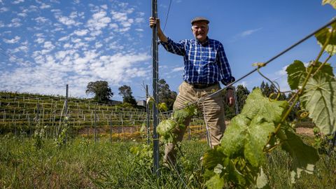 Francisco Crusat en su plantacin de uva de San Isidro
