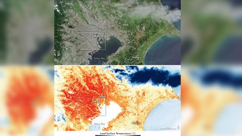 Mapa de temperatura superficial que genera el efecto isla de calor en Tokio