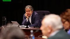 El alcalde de Pontevedra, Miguel Anxo Fern�ndez Lores, durante el pleno celebrado este lunes