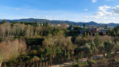 El ardn de la Fonte Baixa, en Luarca, cuenta con varias especies de vegetales