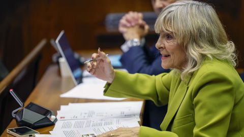 La senadora de UPN,  María Mar Caballero, formulando preguntas a Sánchez durante la comisión de investigación del caso Koldo