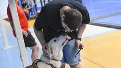 �LBUM: Os cans da protectora que pasaron polo ximnasio Terra P�del