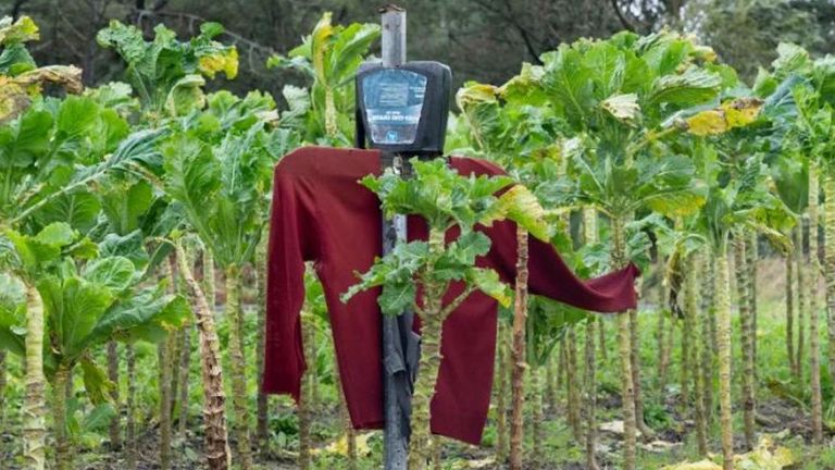 Espantallos de Send�n. 