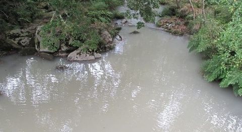 Imagen tomada por el Seprona en el río Cerves