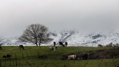 Im�genes de la nevada en el sur lucense