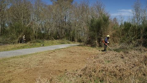 Las cuadrillas de prevencin de la BRIF estn formadas por siete bomberos forestales y un capataz, que realizan labores de desbroce manual o aplican quemas. 