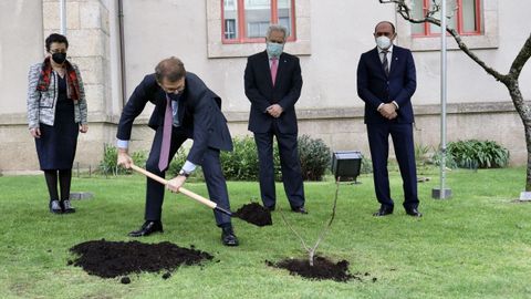 Plantacin de una figueiria en homenaje a Rosala