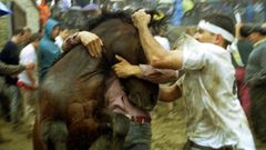 Rapa das Bestas de Sabucedo no ano 2000.