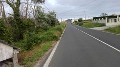 Vista de la maleza invadiendo el arc�n del vial