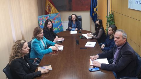 Reuni�n de la consejera de Derechos Sociales y Bienestar, Melania �lvarez, con representantes de la mesa del sector sociosanitario de Fade