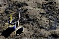 El marisqueo sufre en estos momentos dos crisis, la de precios y la de producci�n.