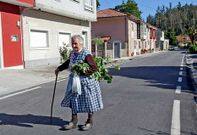 El n�cleo de Li�ares est� en la parte baja de Rois y por �l pasa la carretera de Urdilde.