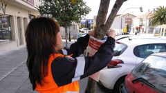 El buen tiempo aviva las campa�as contra la velutina